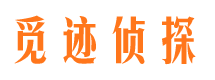 共青城市私家侦探